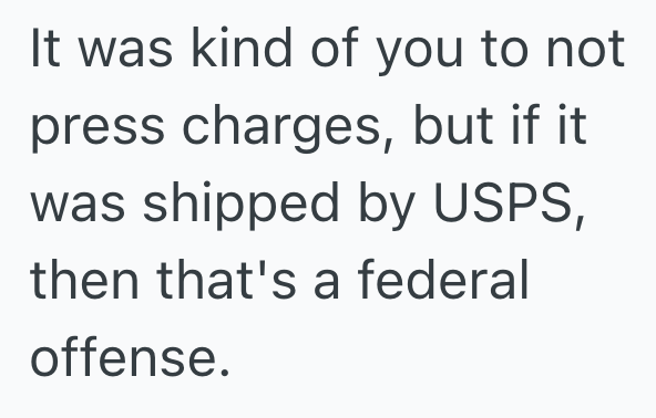 Screenshot 2025 06 22 at 2.10.30 PM A Neighbor Steals A Tenants Package, So He Calls The Police And Talks To The Landlord About The Horrible Neighbors
